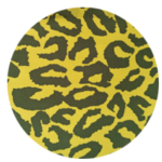 Leopardo amarillo (s)